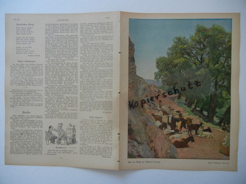 JUGEND Hirth 1909 Einzelverkauf Doppelseiten - Abbildungen und viele weitere - Picture 49 of 113