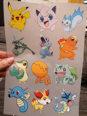 Bügelbild Pokémon Pikachu Garados Rayquaza Geburtstag T-Shirt Schultüte 12 Stück