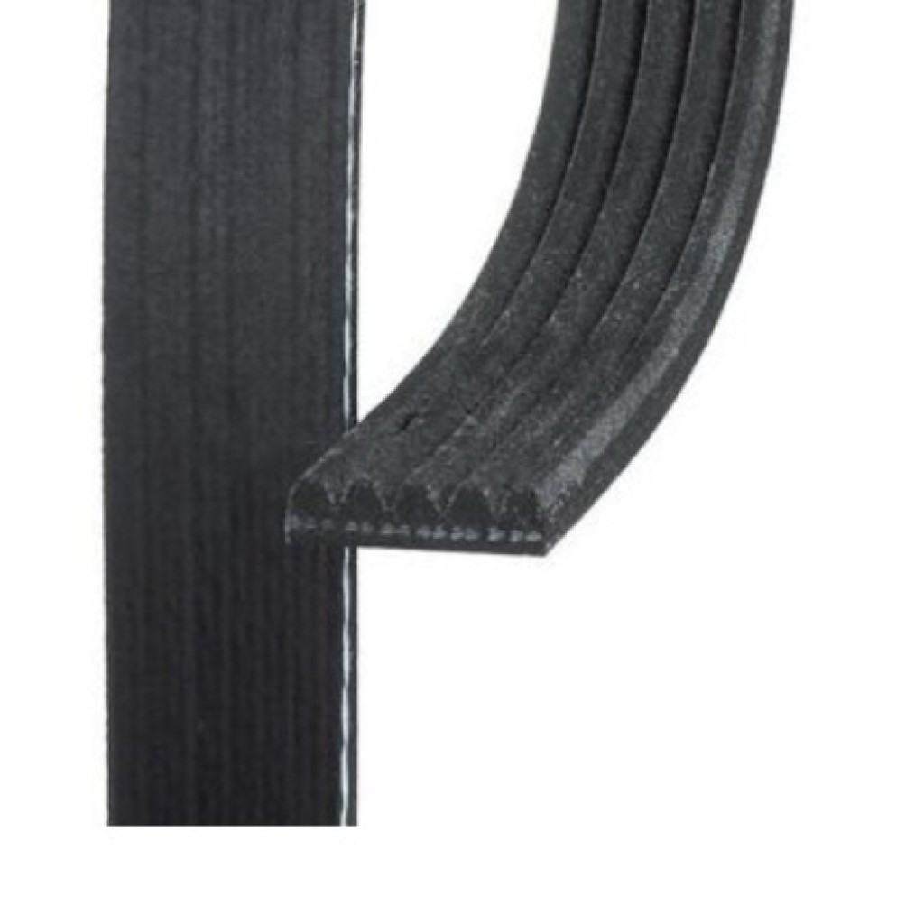 Genuine ACDelco For Audi R8 2014 2015 Standard V-Ribbed Serpentine Belt | Black