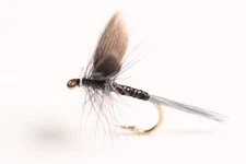 Blue Quill Dry Fly