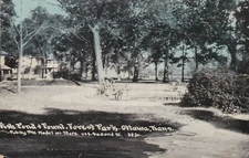 Ottawa, KS - Fish Pond & Fountain, Forest Park