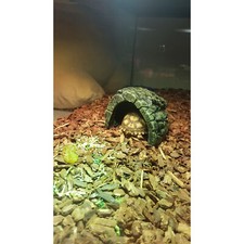 Resin Hideout Cave for Fish, Shrimp, Reptiles, Small Animals, Aquarium Fish Tank