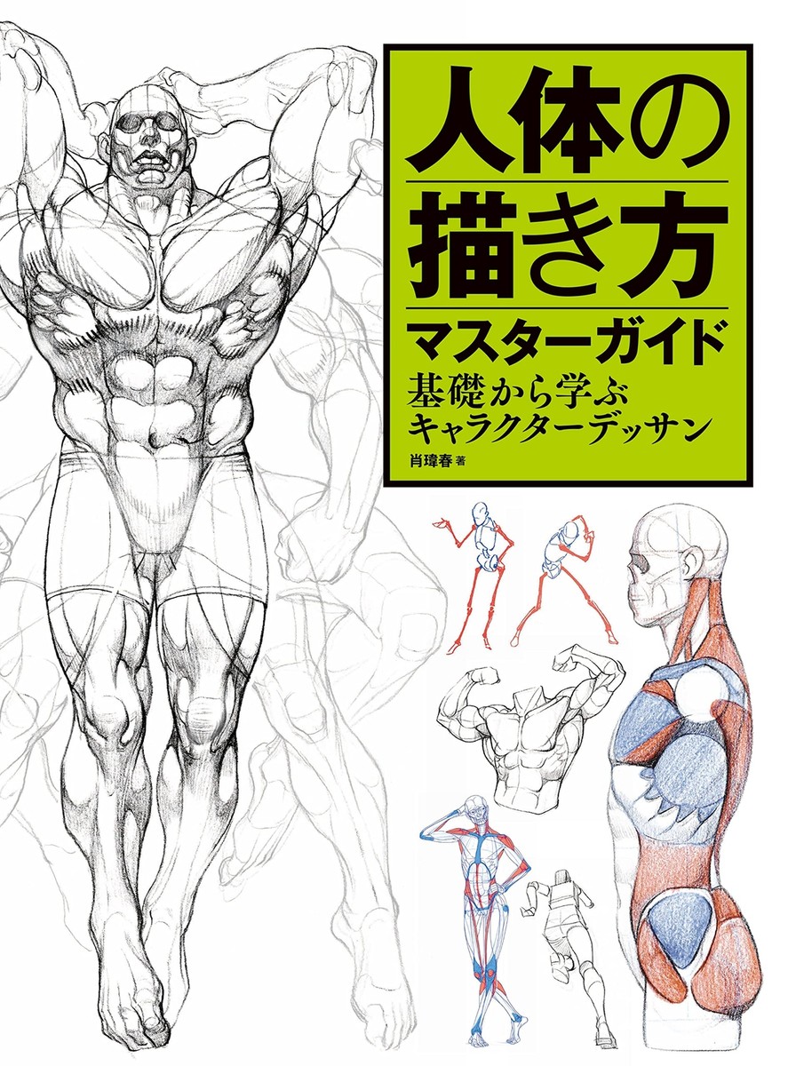 Human Anatomy Drawing Master Guide: Character Design Basics, Large