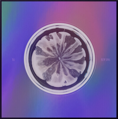 New D N A (X Version) -Incl. 78pg Photobook, Lyrics Paper, Tattoo Sticker + ...