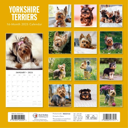 Yorkshire Terriers 2025 Square Wall Calendar