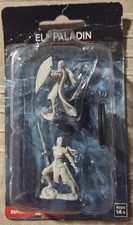 Dungeons And Dragons Elf Paladin Nolzurs Marvelous Miniatures
