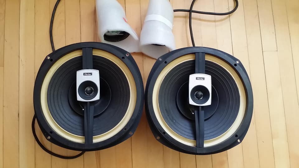 Beta 10 Coral Full Range Speakers CORAL FLAT10-Ⅱ Coral Full Range