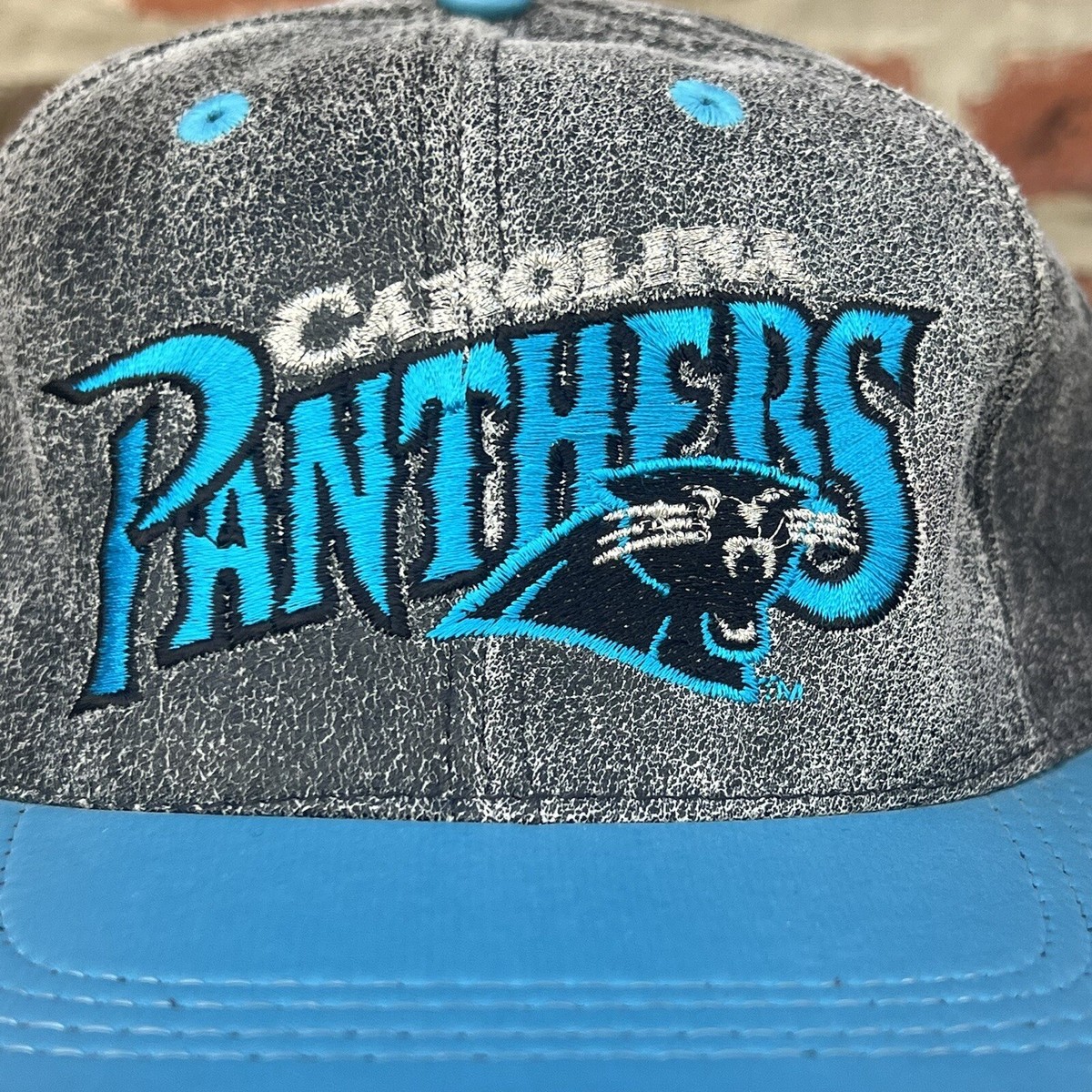 Carolina Panthers Team NFL Vintage 90's Modern Brand Leather