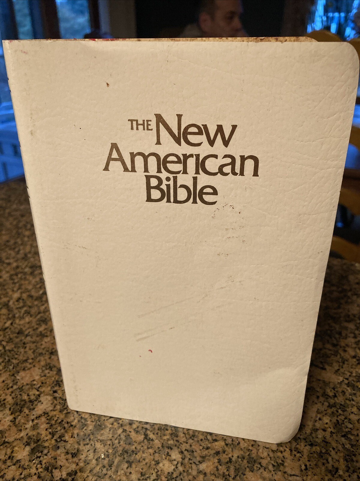 The New American Bible by Catholic world press eBay
