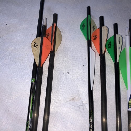 Lot Of 18 Axis 5mm Hunting Carbon Arrows Golden Tip And Beman Bone Collector - Picture 7 of 7
