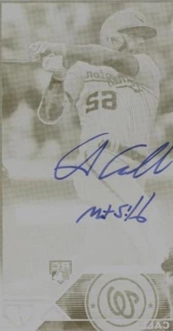 Printing Plate Yellow