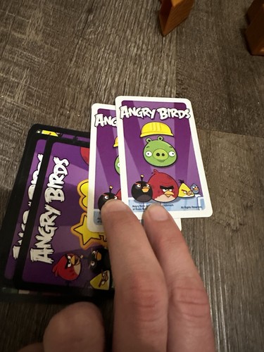 Angry Birds Mega Fling 2011 Juego Coleccionista X9272 Completo LEER - Imagen 5 de 6