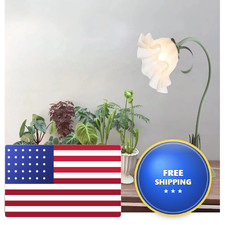 Theonegrow Table Top Grow Light For Indoor Desk Plant Light For Succulents