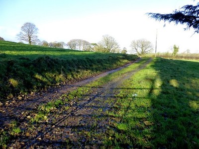 Photo 6x4 Track in a field, Blackfort Pictured along Blackfort Road c2016