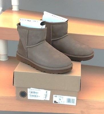 UGG W Classic Mini Ii Hickory NEU - Sonderpreis