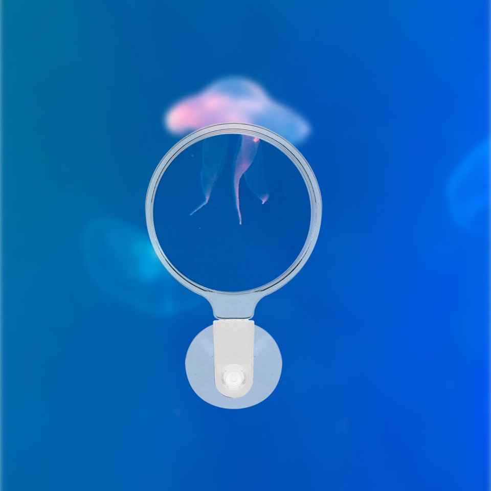 Fish Tank Magnifying Glass Other Aquarium Supplies Small Animals eBay