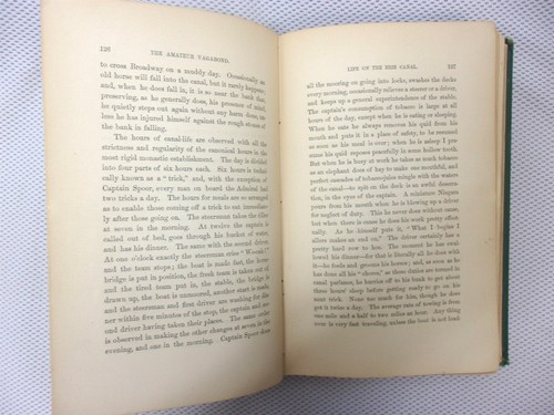 1875 Mysteries And Miseries Of The Great Metropolis By Amateur Vagabond "A.P." - Picture 4 of 9