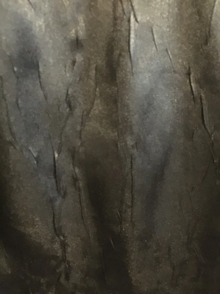 Falda Joe Boxer Negra Niñas 14/16 Foto 3 de 4