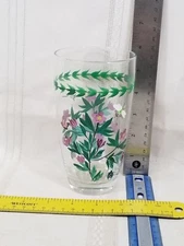 Portmeirion 18 oz Highball Water Iced Tea Tumblers Botanic Garden Hand Painted