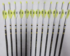 @NEW@ 12- Victory Archery VAP TKO Elite 300 Carbon Dip/Crested Arrows