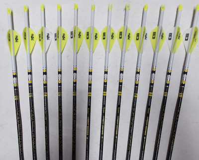 @NEW@ 12- Victory Archery VAP TKO Elite 300 Carbon Dip/Crested Arrows