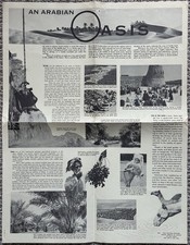 Vintage Aramco Saudi Arabia Poster An Arabian Oasis Oil Company History 1950s