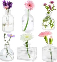 Kleine Glasvasen, 6Er Set Mini Vasen FüR Tischdeko,Klar Flower Vase Klein