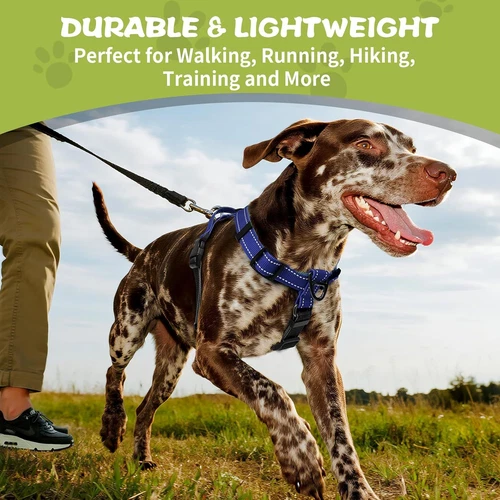 Dog Harness,Adjustable No Pull Harness,Y-Shaped S, Blue