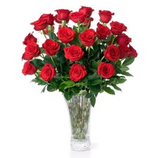 Aquarossa Farms   Flowers for Delivery, Fresh Bouquet, 24 STEMS, RED