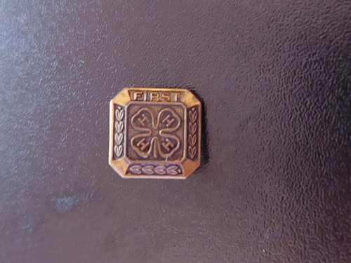 Vintage 4H First Place Award Pin, Perfect Condition - Picture 4 of 4