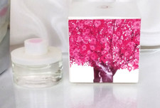 Miniatur Pär Âmour Toujours de CLARINS - EDP - 4,5 ml - voll - Box