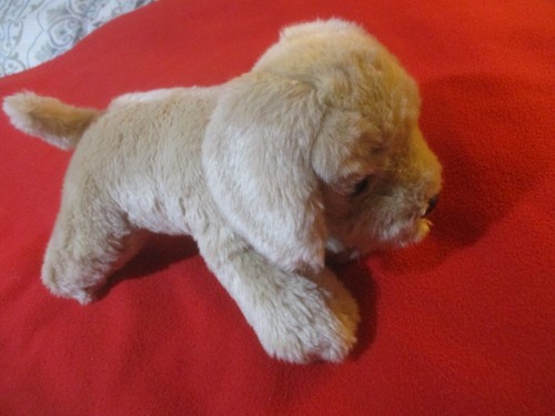 Rare Signature Cuddle Puppies Keel Toys 12” Plush Golden Retriever Dog Puppy - Picture 4 of 6