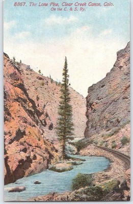 Vintage Lone Pine Clear Creek Canon Colorado Postcard H.R. Schmidt