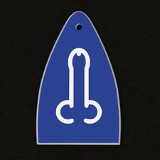 GUITAR TRUSS ROD COVER Engraved Etch - Fit Paul Reed Smith PRS USA - DONG BLUE