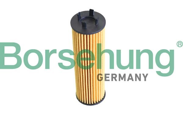 Borsehung ÖLfilter Filtereinsatz FüR VW Passat Variant 2.0 TDI Tiguan Skoda-image