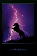 Listing image for LIGHTNING HORSE POSTER - RARE NEW INSPIRATIONAL