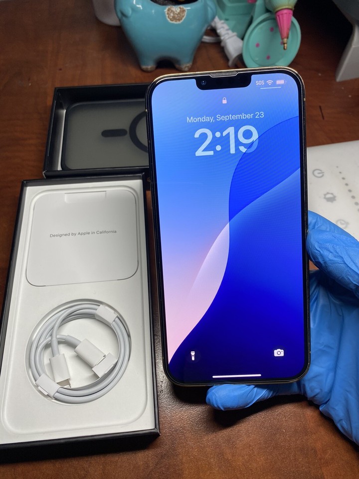 Apple iPhone 13 Pro Max 128 GB Unlocked eBay