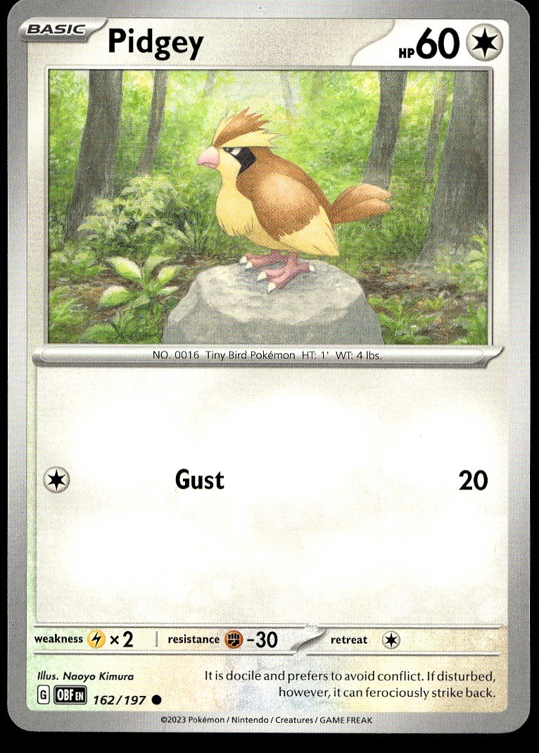 Pidgey 162/197 Common Obsidian Flames Pokemon Lightly Played