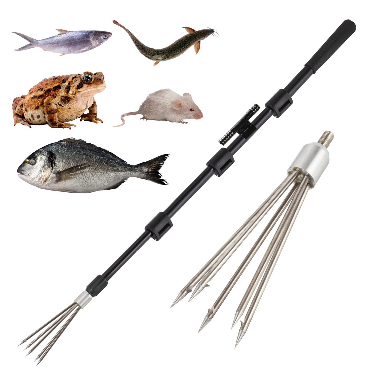 by hook or harpoon the art of zee-fishing 11-Prong Fishing Harpoon, Stainless Steel Fishing Spear Gig Gaff Fork with 8mm Screw, for Catching Fishes Frogs in Pond River Lake etc. Capable for Fishing Pole (11-Prong Fishing Harpoon) and marlin Harpoon Hunters' to premier on