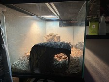 reptile terrarium tank