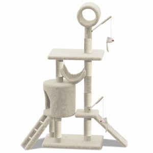 hills cat condo