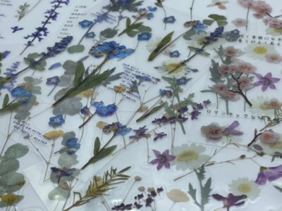 8 Vinyl Blumen Aufkleber Blatt Set: Lavendel Sakura Gänseblümchen Sternenhimmel Vergiss mich nicht