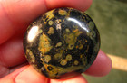 1.5inch 42g KAMBABA JASPER STROMATOLITE PALMSTONE MADAGASCAR #130 — photo 4