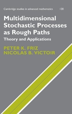 Peter K. Friz Nicolas B. Multidimensional Stochastic Processes as Rou (Hardback)