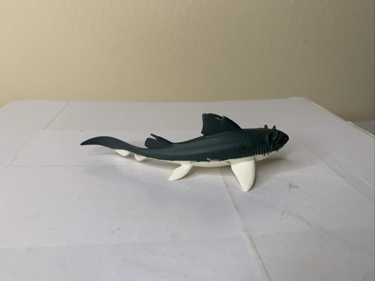 Picture 5 of 21