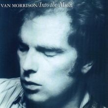 Into the Music von Morrison,Van | CD | Zustand sehr gut