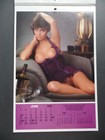 Bild 2 von 8