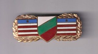 Italian Labor Service Unit Labor Service badge US Army very rare Cold War