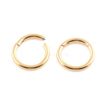 20G 18G 16G 14G Gold Color HINGED Segment Nose Ring Septum Clicker Daith Hoop