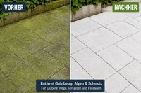 Iwetec GrüNbelagentferner, 15 Liter GrüNbelag Entferner Reiniger Reinigung